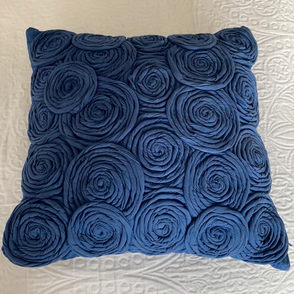 Pottery Barn Blue Throw Pillow